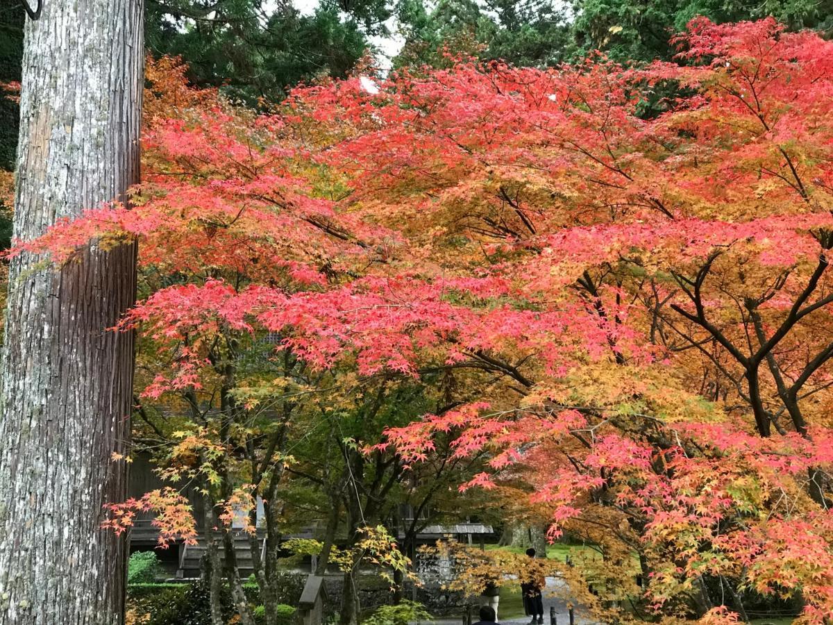 Villa Ohara Sensui Surrounded By Beautiful Nature à Kyoto Extérieur photo